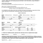 Form Sso M3 02 Family Court Services Order Form Dallas County