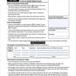 FREE 10 Sample Small Claim Forms In PDF MS Word