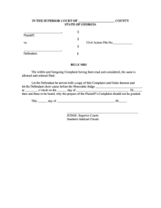 Georgia Rule Nisi Form Fill Out And Sign Printable PDF Template SignNow