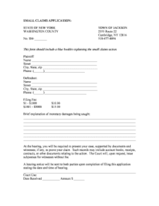 Get Small Claims Court Forms Ny PDF Form Samples To Fill Online