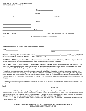 Get Small Claims Court New York State PDF Form Samples To Fill Online