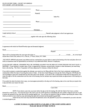 Get Small Claims Court New York State PDF Form Samples To Fill Online 