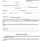 Get Surrogate Court Forms Nj PDF Form Samples To Fill Online