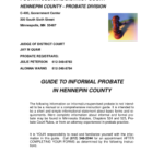 Hennepin County Application For Informal Probate Fill Online