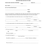 IN THE CHANCERY COURT FOR DAVIDSON COUNTY TENNESSEE Fill Out And