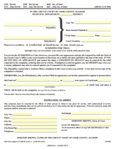 IN THE CIRCUIT COURT OF COOK COUNTY ILLINOIS MUNICIPAL Form Fill