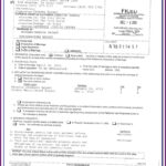 Knox County Tn Chancery Court Forms Form Resume Examples E4Y4Odr9lB