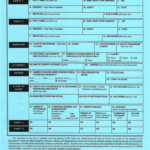 Maryland Department Of Health And Mental Hygiene Form Fill Online