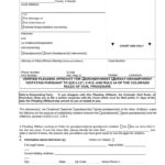 Motion Affidavit For Grandparent Or Great Grandparent Visitations