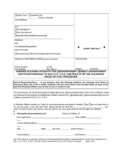 Motion Affidavit For Grandparent Or Great Grandparent Visitations