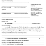 Nassau County New York Affidavit In Support Of Temporary Restraining