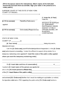 Nassau County New York Affidavit In Support Of Temporary Restraining