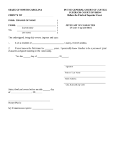 Nc Affidavit Doc Template PdfFiller