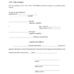 Nm Magestrait Court Form 4 707 Fill Online Printable Fillable