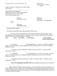 Nys General Form 17 Petition Custody Visitation Fill Out And Sign