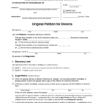 Original Petition For Divorce Fill Online Printable Fillable Blank