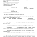 Petition Custody Form New York Free Download