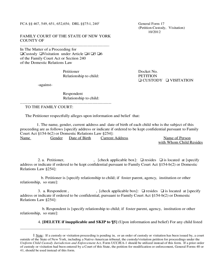 Petition Custody Form New York Free Download