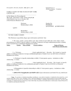 Petition Custody Form New York Free Download