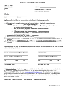 Portage County Court Records Fill Out And Sign Printable PDF Template