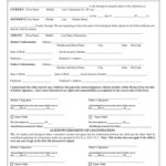 Printable Custody Of A Child When Parents Aren T Married Fill Out