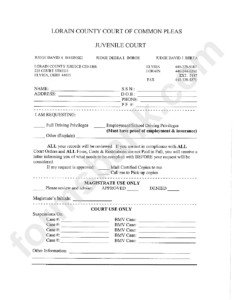 Requesting Form Lorain Country Court Of Common Pleas Printable Pdf