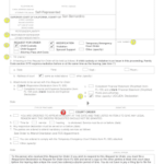 San Bernardino County Child Custody Forms Fill Online Printable