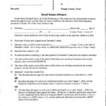 Small Claims Affidavit Form Illinois MBM Legal