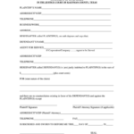 Small Claims Court Texas Fill Online Printable Fillable Blank