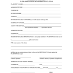 Small Claims Court Texas Fill Out And Sign Printable PDF Template