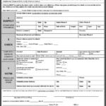 Small Claims Forms For Broward County Florida Form Resume Examples