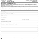 Submit Certificate Of Disposition Florida PDF Forms And Document