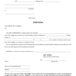 Subpoena Pinellas County Fill Online Printable Fillable Blank