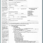 Tarrant County Family Court Divorce Forms Form Resume Examples