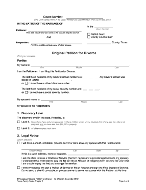 Texas Divorce Petition Fill Online Printable Fillable Blank 