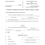 Texas Petition Fill Online Printable Fillable Blank PdfFiller