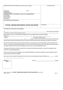 Top 10 San Bernardino Superior Court Forms And Templates Free To