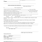 Top 9 Cobb County Court Forms And Templates Free To Download In PDF Format